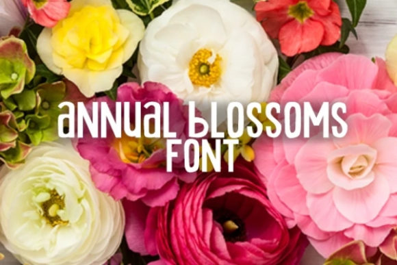 Annual Blossom: A Display Font That Elevates Editorial Design
