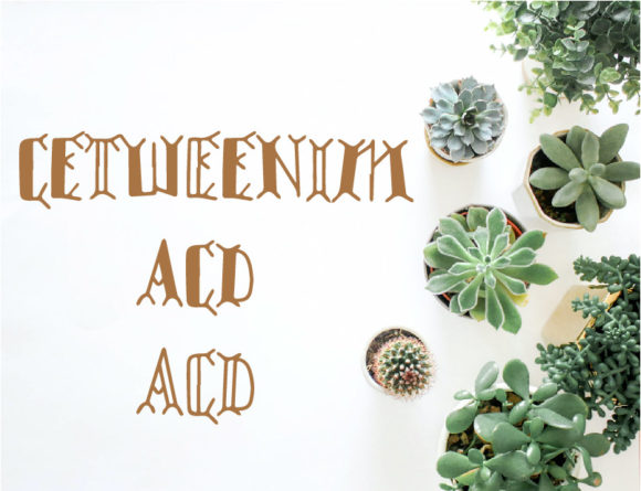 Cetweenim: A Playful Display Font for Handmade Products