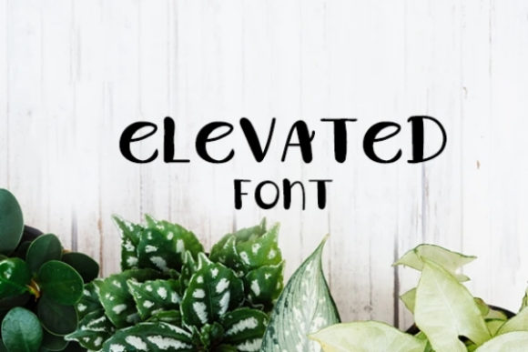 Elevated: A Designer's Honest Review for Real Projects