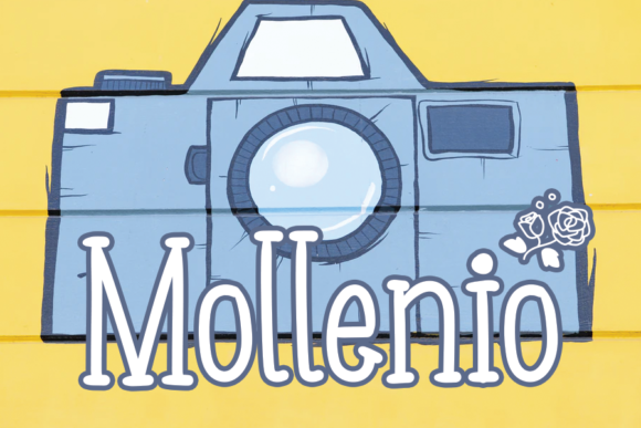 Mollenio: A Designer's Hands-On Review for Real Projects