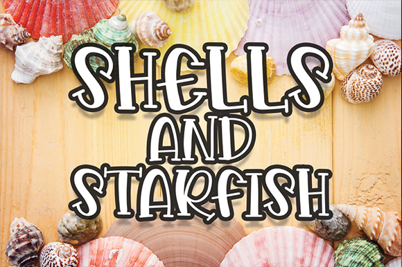 Shells and Starfish: A Designer’s Real-World Review